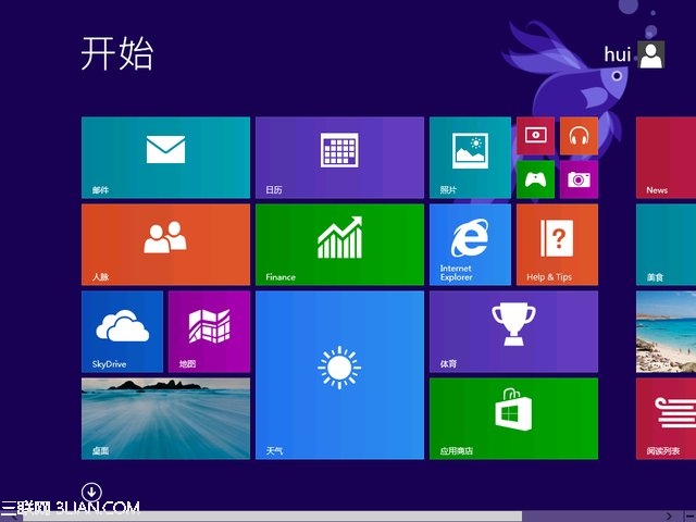 Win8.112(g)׃ (lin)