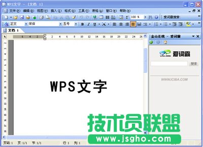 WPS Office 2007ܚgӭ