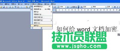 word2003ęnô  (lin)