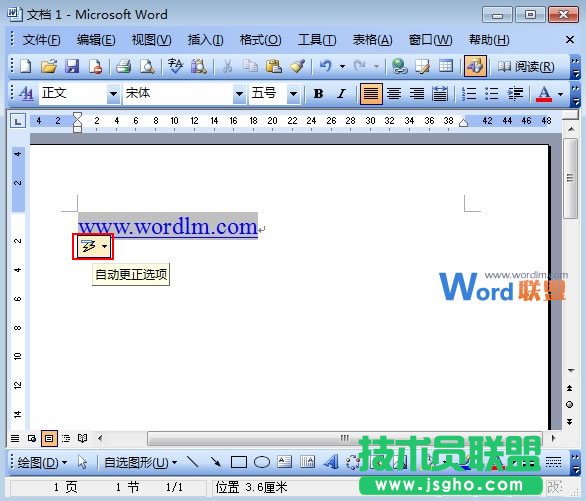 Word2003еĳ朽   (lin)