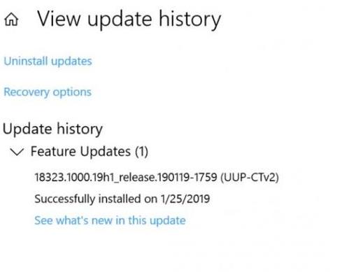 Windows 10 19H1Ml(f)֧ 4ڶ