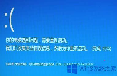 Win8.1{ʾKERNEL SESURTY CHECK FAILUREޏͷ