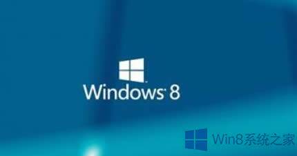 Win8\Flash Player̎