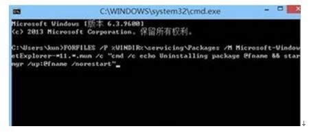 Windows8.1ϵy(tng)жdIE11g[ʧ̎